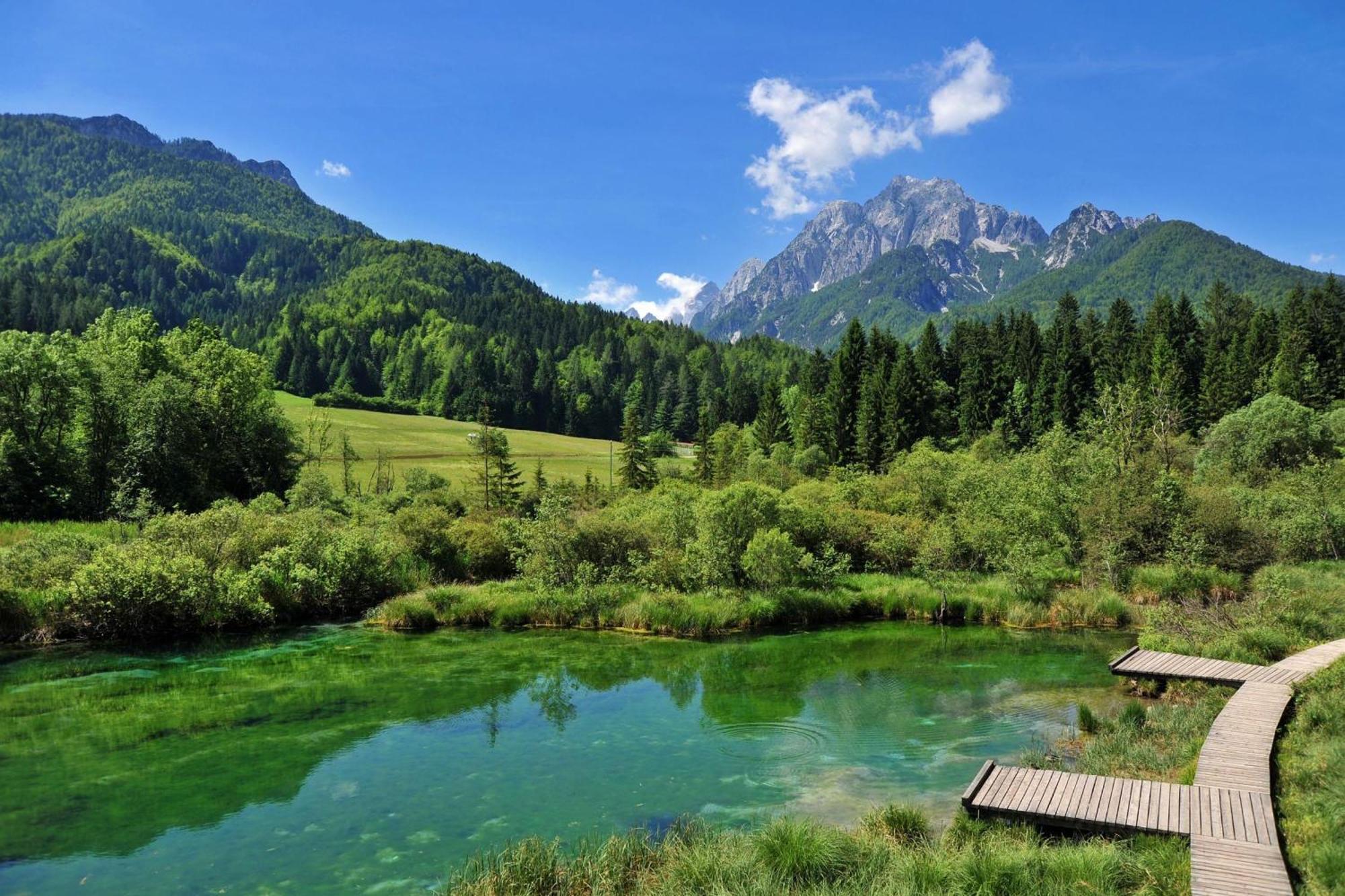 Alpine Retreat Gaja Kranjska Gora - Happy Rentals Exterior foto