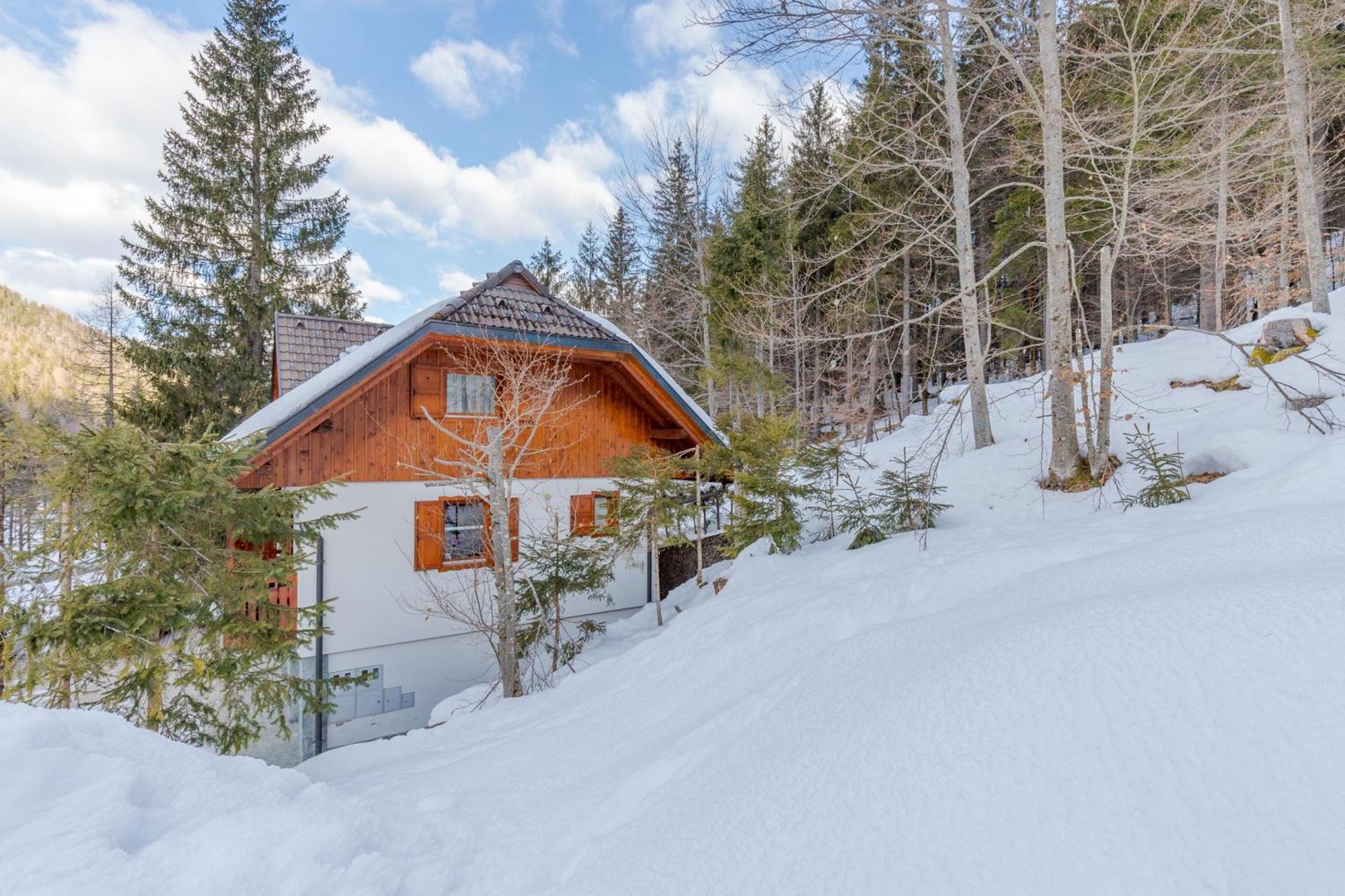 Alpine Retreat Gaja Kranjska Gora - Happy Rentals Exterior foto